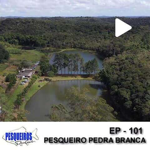 Pesqueiro Pedra Branca - São Bernardo do Campo